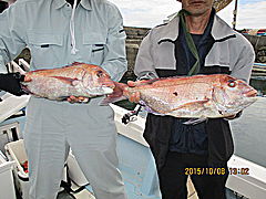 遊漁船 未紗奈 釣果