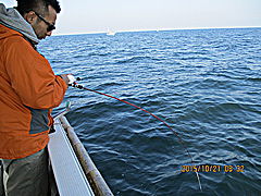 遊漁船 未紗奈 釣果