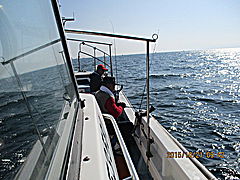 遊漁船 未紗奈 釣果