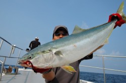 ワープゾーン 釣果