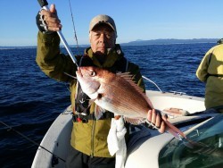 鯛多ニック 釣果