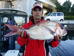 鯛多ニック 釣果