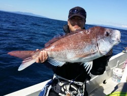 鯛多ニック 釣果