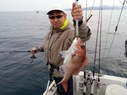 鯛多ニック 釣果