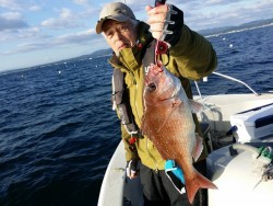 鯛多ニック 釣果