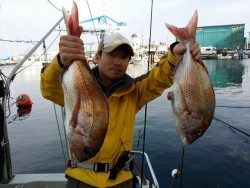 鯛多ニック 釣果