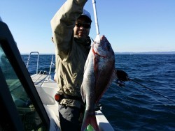 鯛多ニック 釣果