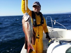 鯛多ニック 釣果