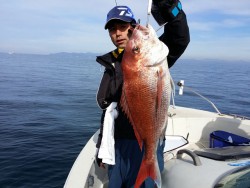 鯛多ニック 釣果