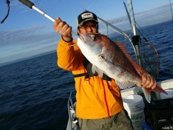 鯛多ニック 釣果