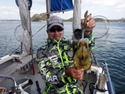 Fishing guide かわい 釣果