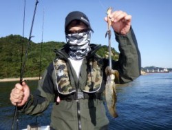 Fishing guide かわい 釣果