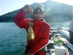 Fishing guide かわい 釣果