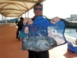 Fishing guide かわい 釣果