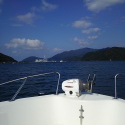 始まったみたいですが・・・。