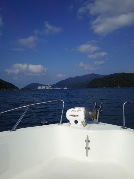 始まったみたいですが・・・。