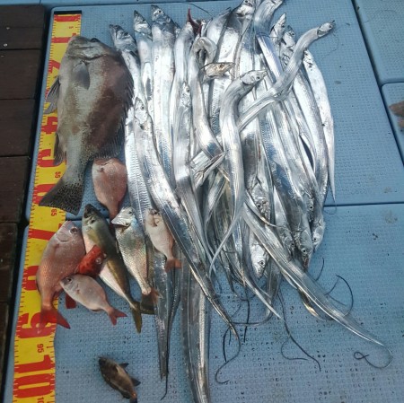 タチウオリベンジ！