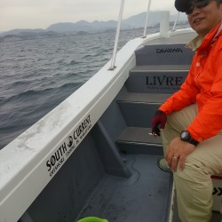 激シブティップラン