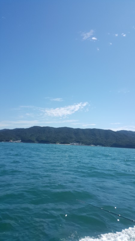 波高く厳しい結果でした