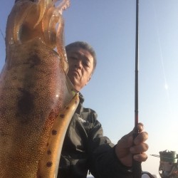 ちょっとタリナーズ