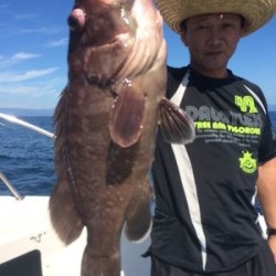 Blue.win 海人丸 釣果