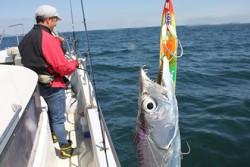 松本釣船２ 釣果