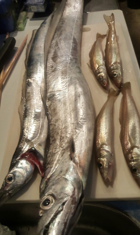 波高く厳しい結果でした