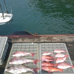 タイラバ巻き巻き