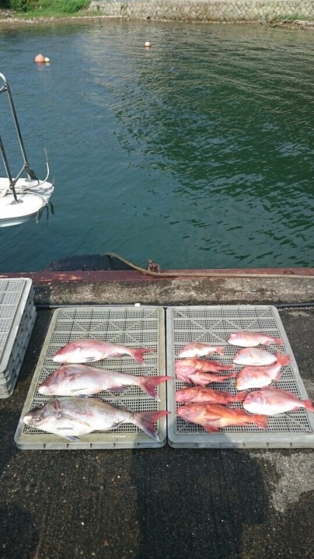 タイラバ巻き巻き