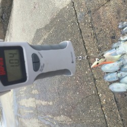 キロアップゲット