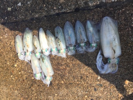 ちょっとタリナーズ