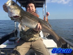 オーシャンマスター 釣果