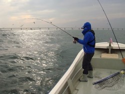 誠丸 釣果