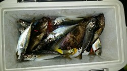 釣福丸 釣果