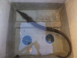 Hit Rush(ヒット ラッシュ） 釣果