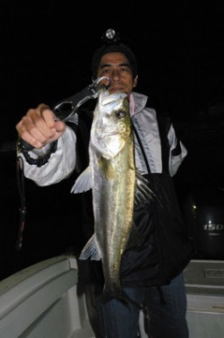 Marine T Design　マリンティーデザイン 釣果