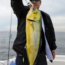 Marine T Design　マリンティーデザイン 釣果