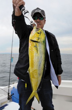 Marine T Design　マリンティ…