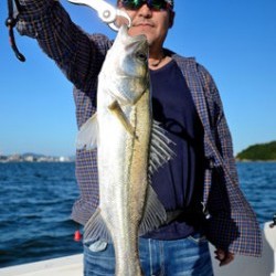 Marine T Design　マリンティーデザイン 釣果