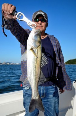 Marine T Design　マリンティーデザイン 釣果