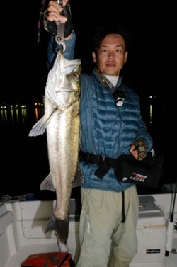 Marine T Design　マリンティ…