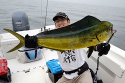 Marine T Design　マリンティ…