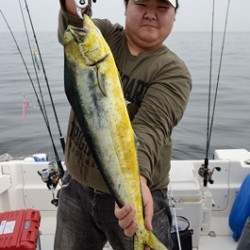 Marine T Design マリンティーデザイン 釣果