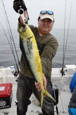 Marine T Design マリンティーデザイン 釣果