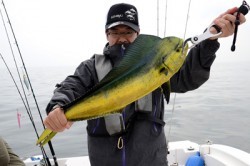 Marine T Design マリンティーデザイン 釣果