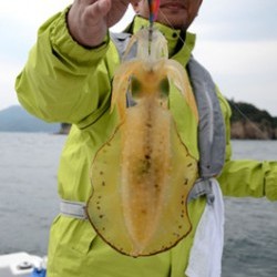 Marine T Design マリンティーデザイン 釣果