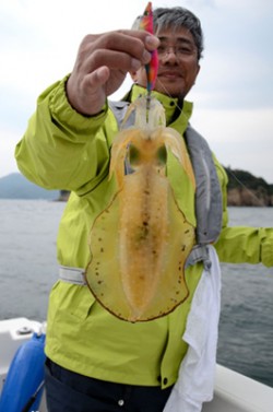 Marine T Design　マリンティ…