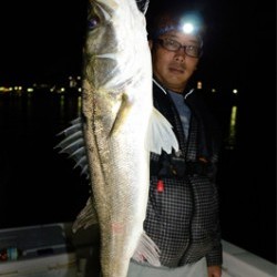 Marine T Design　マリンティーデザイン 釣果