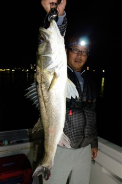 Marine T Design　マリンティ…