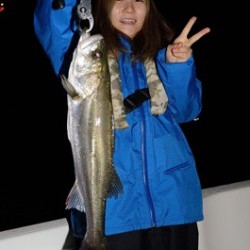 Marine T Design　マリンティーデザイン 釣果